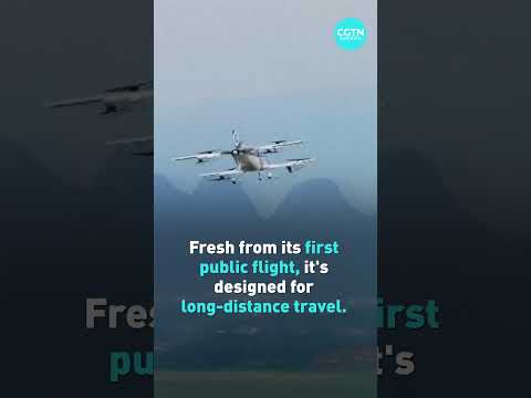 China's flying car revolution takes off