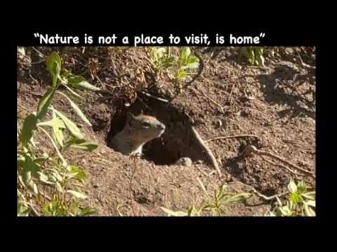 “Nature is not a place to visit, it is home” Gary Snyder.