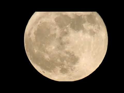The phase and position of the full moon today: June 14, 2022