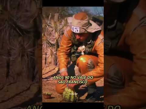 Xambioá do Sertão - Guerreiro de Caatinga