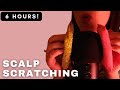 ASMR - INTENSE and AGGRESSIVE SCALP SCRATCHING WITH SPONGES NO TALKING