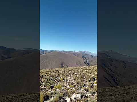 EL PARADOR DEL CÓNDOR RUTA 52  . JUJUY 🦅