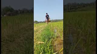 Download lagu Orang Pinggiran Soundtrack mp3