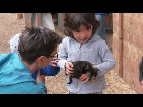 Die Bergbauernpreisträger 2020 - Fam. Canazei, Milanhof, St. Ulrich