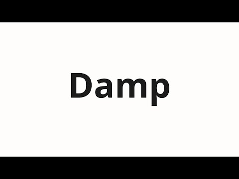 How to pronounce Damp