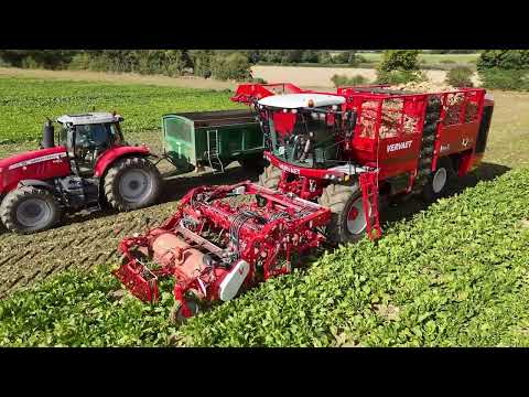 New Vervaet Q-616 harvester working at the beginning of the 2024/25 beet campaign
