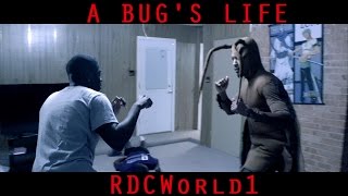 THE ROACH THAT GOT TIRED OF THE BS / A BUG'S LIFE (Short Film)