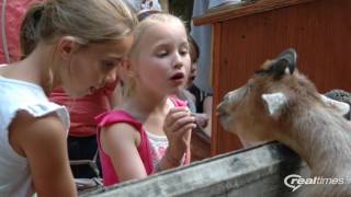 We Like the Zoo Cause We&#39;re Animal Too May 9, 2014   Aug 8, 2016