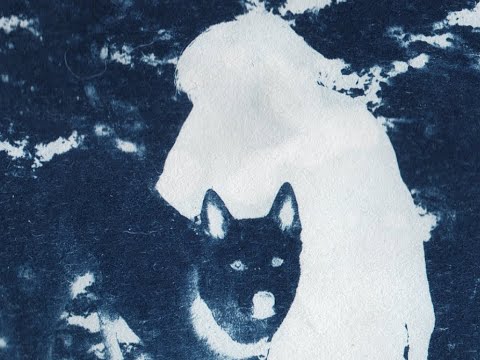 DUSTY - Hollow Knox (Official Music Video)