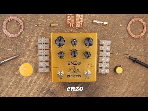 Meris Enzo 2018 - Gold image 2