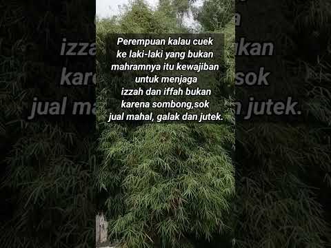 Menjaga Izzah dan Iffah #nasihatulama #kalamulama #quotes