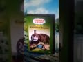 Percy S Chocolate Crunch Dvd