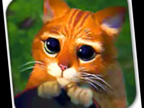 AngieRamirez486’s Video 137365128714 ppkBsaxqJ9A