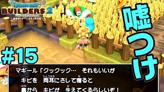 それどこ情報だよ【ドラクエ ビルダーズ2】#15
