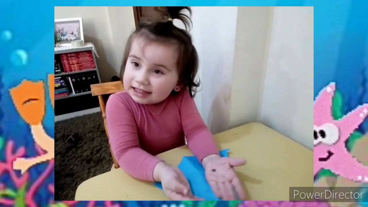 Educação Infantil : Atividades animais aquáticos com a Juju