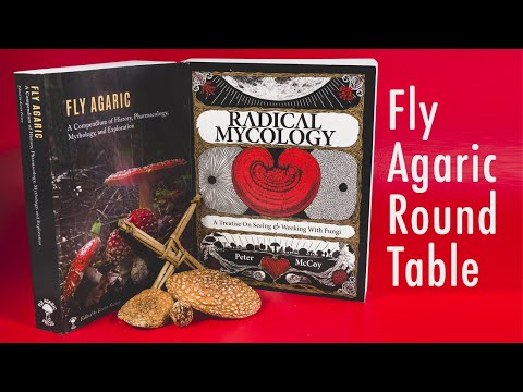 Radical Mycology 5-Year Anniversary: A Fly Agaric (Amanita muscaria) Round Table Discussion