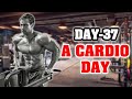 Day 37 A Cardio Day! | Maik Wiedenbach | Shorts | Youtubeshorts