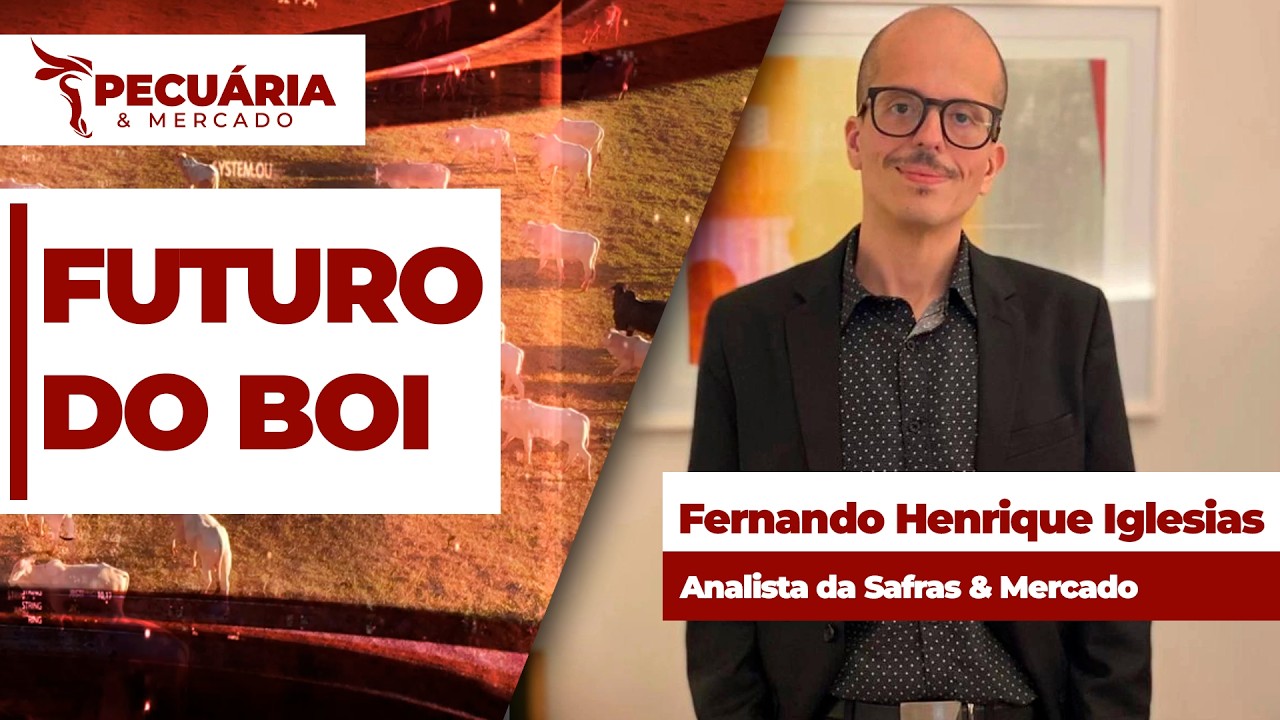 Transição entre terceiro e quarto trimestre do ano deve ser de mercado volátil para o boi