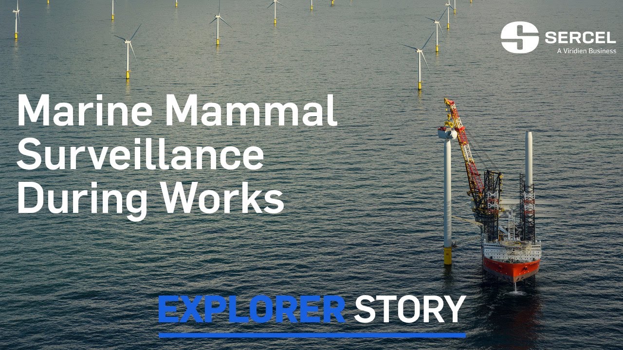 Sercel Explorer Story – Marine Mammal Surveillance During Works