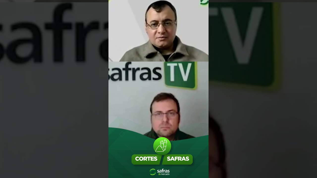 AÇÚCAR: O QUE PODE MUDAR OS RUMOS DO MERCADO?