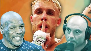 What pros think of Jake Paul's boxing skills?