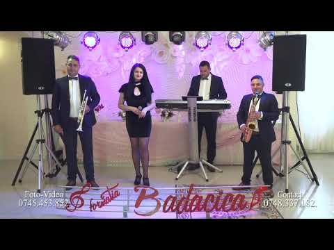 Alina Alexandra Formația Bădăcică- Je  t'aime. (Cover Lara Fabian)