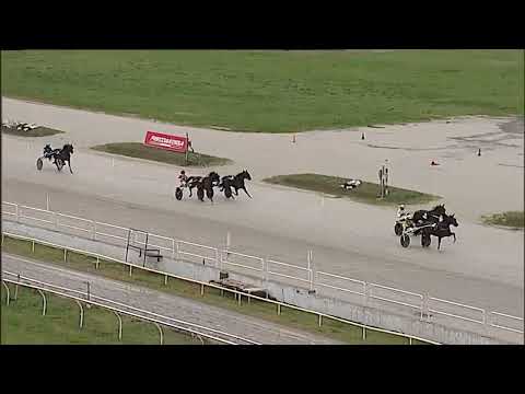 Napoli Trotto 21/10/2025 - 1ª prova di qualifica