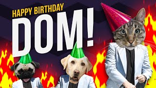 Happy Birthday Dom - Its time to dance!