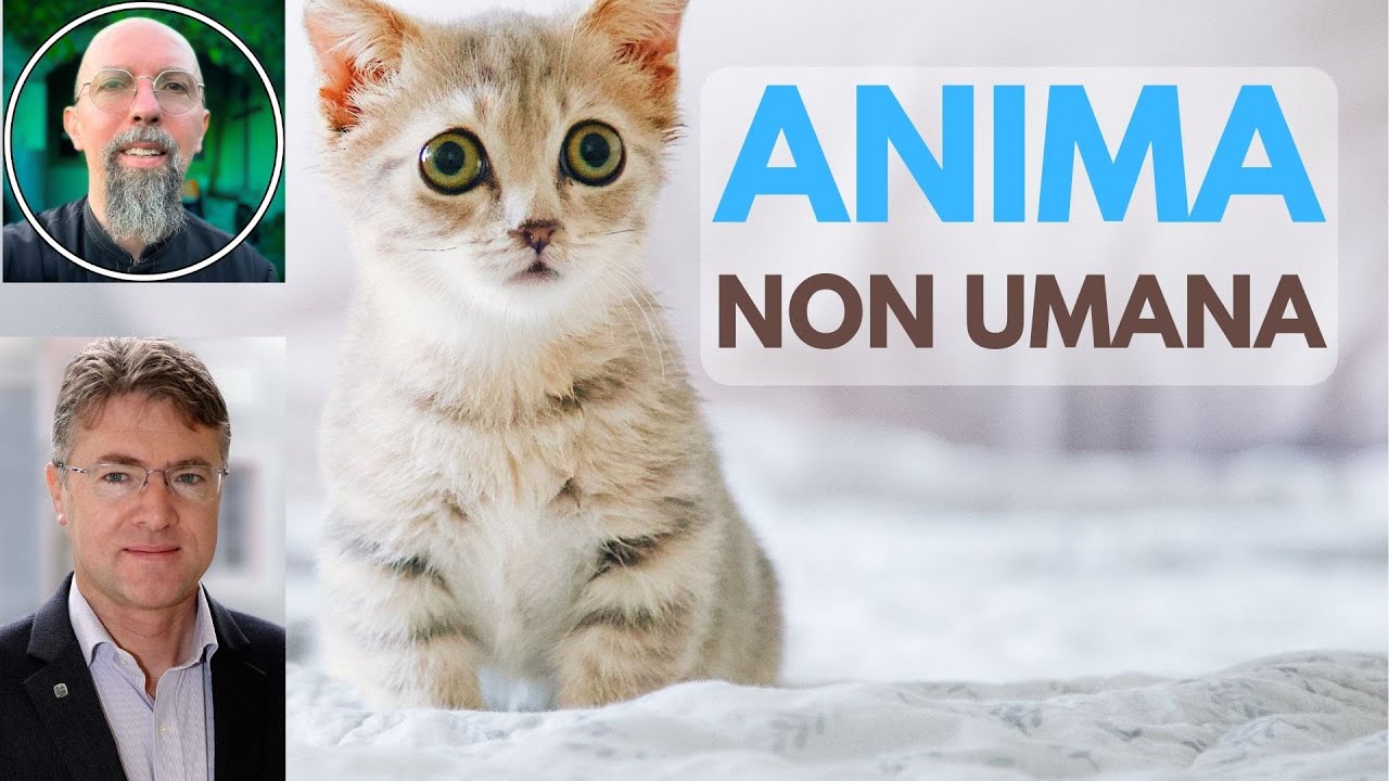 Anima Non Umana: la verità nascosta della coscienza negli animali