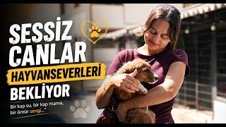  Sessiz Canlar Hayvan Severleri Bekliyor