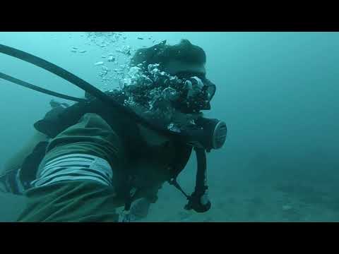 IST Pro Ear Mask with Facial Hair and Scuff