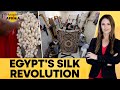 Modern-Day Silk Revolution Booms Carpet Business In Egypt's Beheira| Firstpost Africa