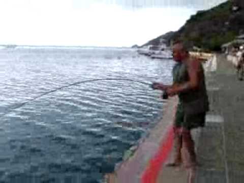 ze luis pescador portugues s. barth parte 2