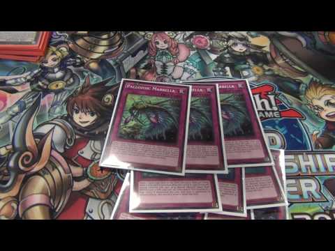 Yugioh 4/1/2017 Tulsa, OK Regional 7th Place Deck Profile - 60 Card Paleozoic - Denny Vu