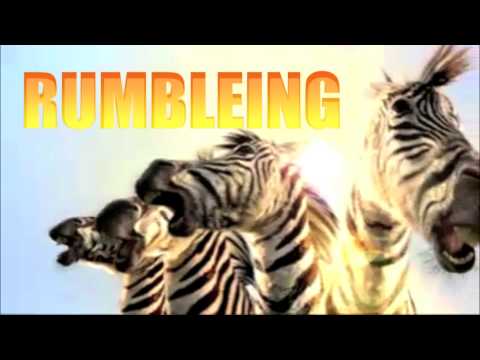 download lagu mp3 mp4 Tumble In The Jungle, download lagu Tumble In The Jungle gratis, unduh video klip Tumble In The Jungle
