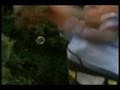 Gianna Playhouse Disney Commercial Various