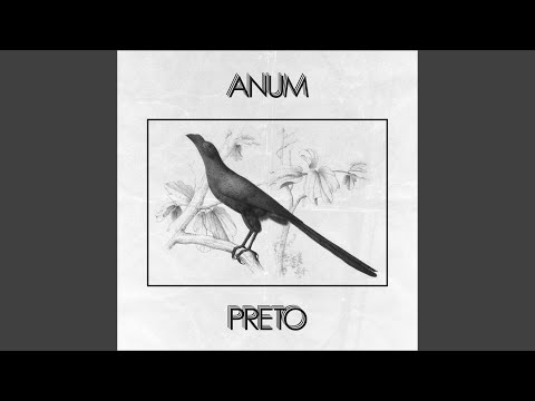 Retrato - Anum Preto