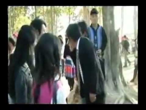 koj xaiv tus zoo li cas