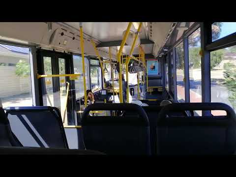 Transperth Bus No. 1995