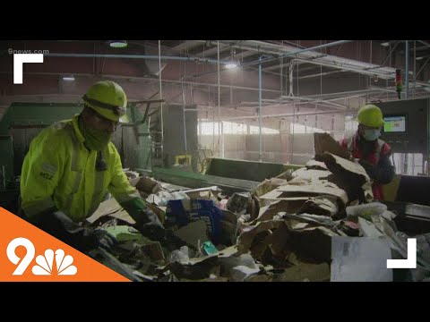 Recycling 101: How to help reduce your carbon footprint