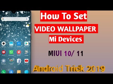 dynamic video wallpapers
