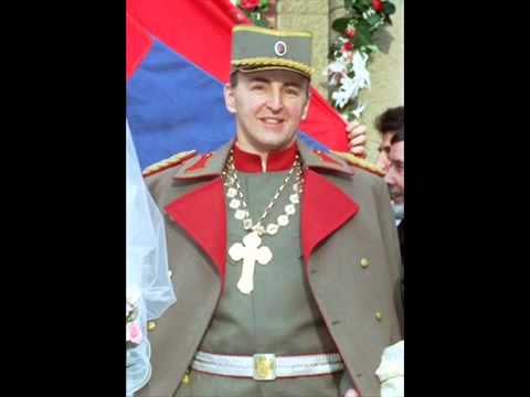 Svrtomir Ilic   arkanove delije