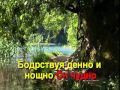Гимны Надежды - 174. В жизненном море 