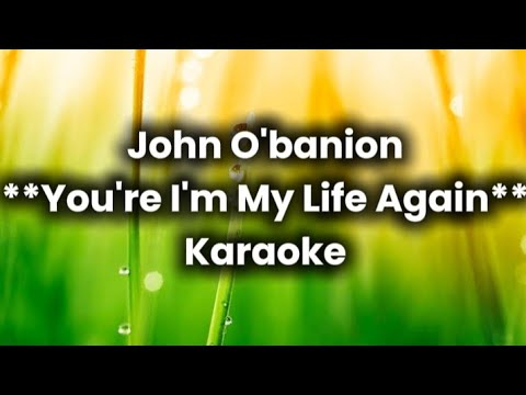 You're In My Life Again - John O'banion