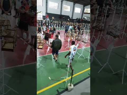 Roda de Trinca-Ferro no Festivo dos Amigos em Porciuncula/RJ - 19/10/2025