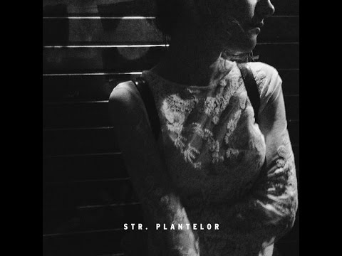 Dor Mărunt - Str. Plantelor