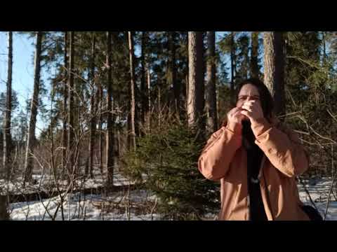 Man, Jew's harp And The Forest. #AtmosphericSiberianMusic #NeoFolk