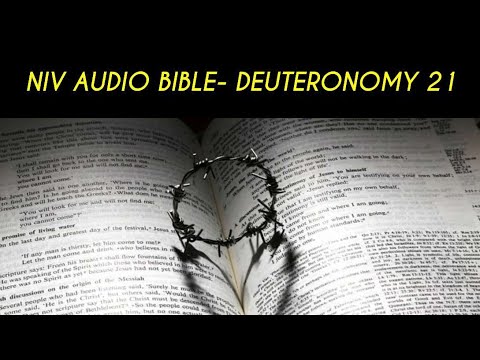 DEUTERONOMY 21 NIV AUDIO BIBLE (with text)