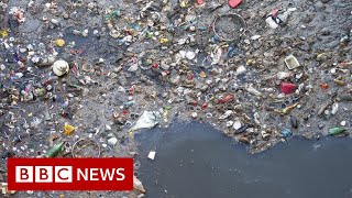 No English river is free from pollution, report finds - BBC News