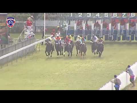 Ten Gun Salute with R.FRADD 1650M